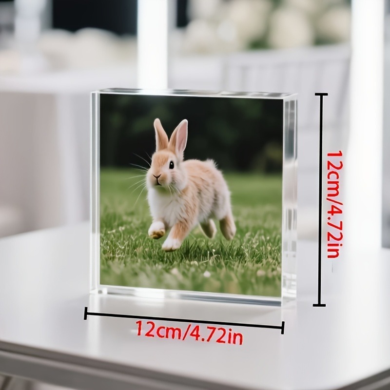 1PC 맞춤형 사진 아크릴 개인 맞춤 선물 가족 엄마  - Photo Acrylic Block 리뷰 및 가격